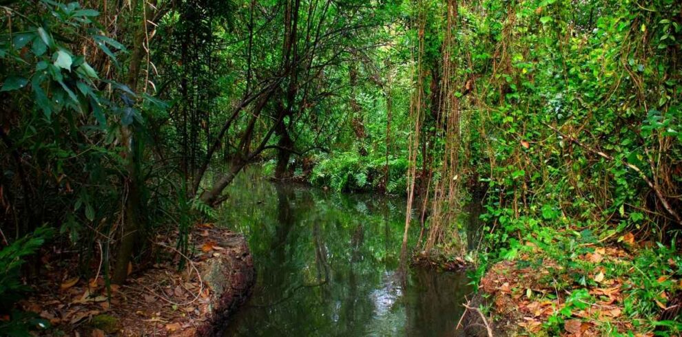 Kumarakom
